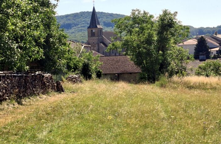 À vendre – Projet de rénovation dans les Vosges (Grand Est) — photo 2