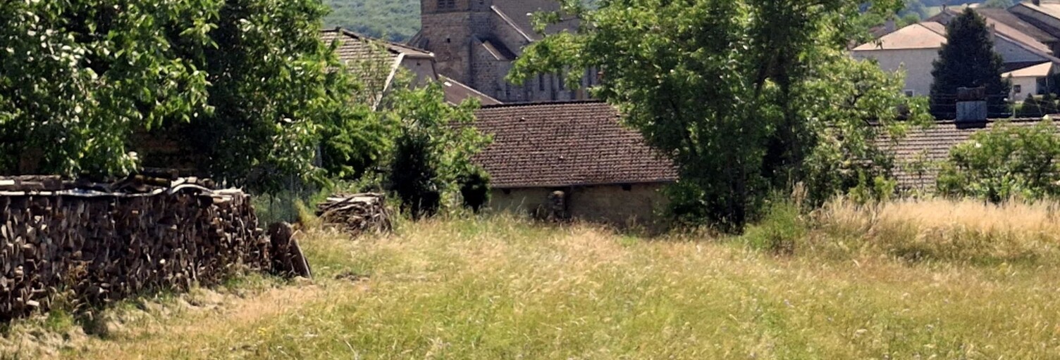 Photo N° 2