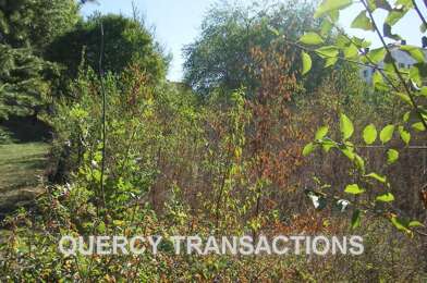 Terrain  30000 €