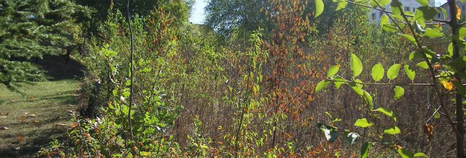 Terrain  1300 m² à vendre à Cahors (46000)