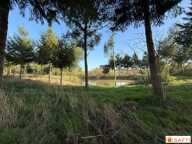 Maison de bourg avec dépendances sur plus de 2 hectares — photo 4
