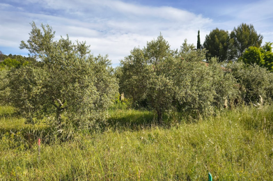 Terrain  185000 €