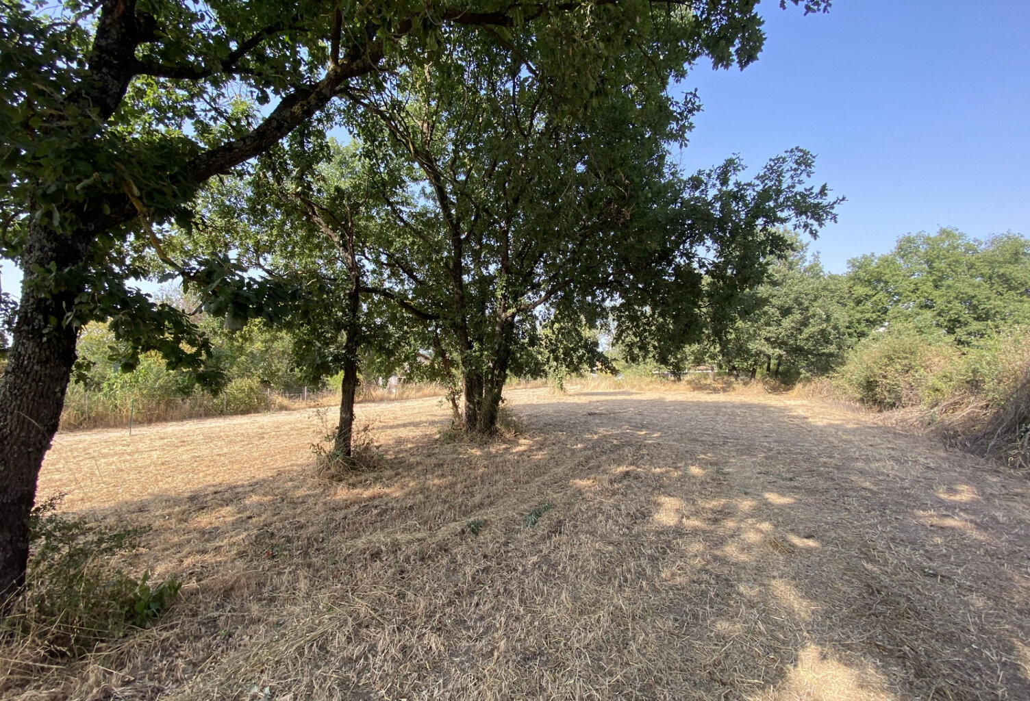 Terrain constructible à vendre   Larra (31)   1 066 m2 — photo 1