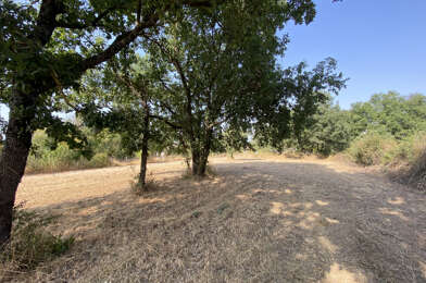 Terrain  90000 €