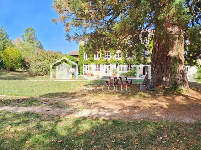 Maison de maître d'exception 45 MIN DE NANCY ET 20 MIN DE VITTEL — photo du bien