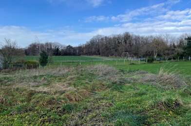 Terrain  29000 €