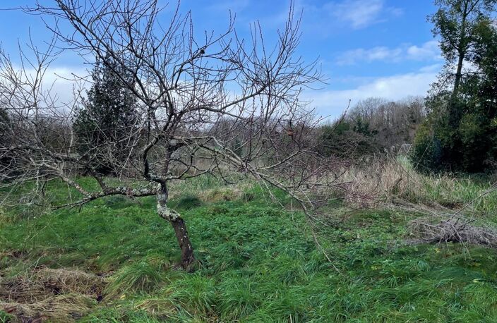 Situé à Brannay (89150) — photo 3