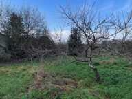 Situé à Brannay (89150) — photo 4