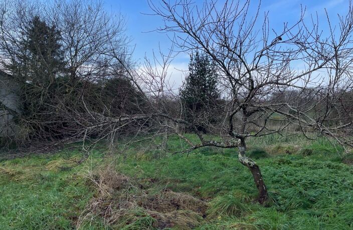 Situé à Brannay (89150) — photo 4