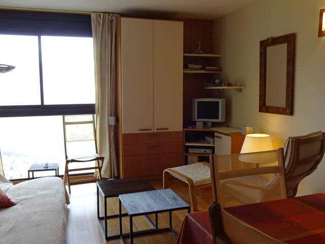 STUDIO RENOVE AVEC CELLIER AU PLA D'ADET — photo du bien