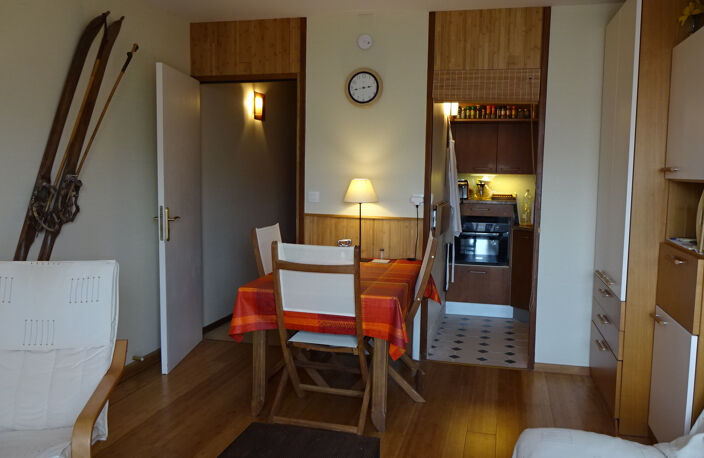 STUDIO RENOVE AVEC CELLIER AU PLA D'ADET — photo 3