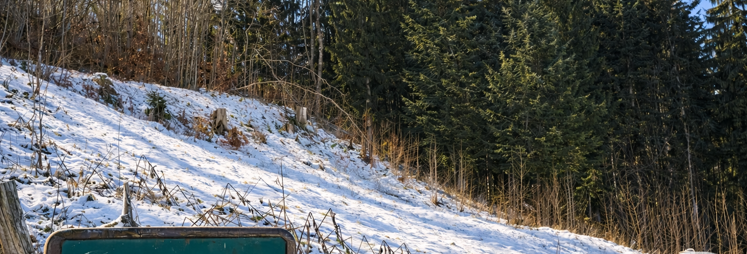 Terrain  1720 m² à vendre à Saint-Gervais-les-Bains (74170)