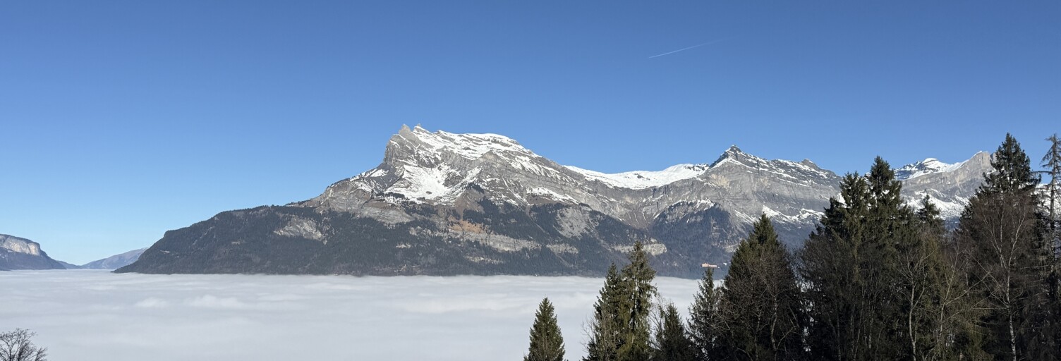 Photo N° 2