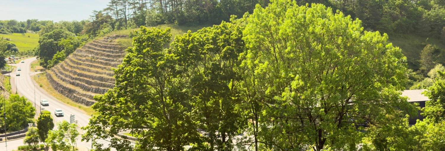 Terrain  698 m² à vendre à Onet-le-Château (12850)