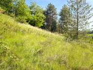 Vente Terrain à bâtir 698 m&sup2; — photo 3