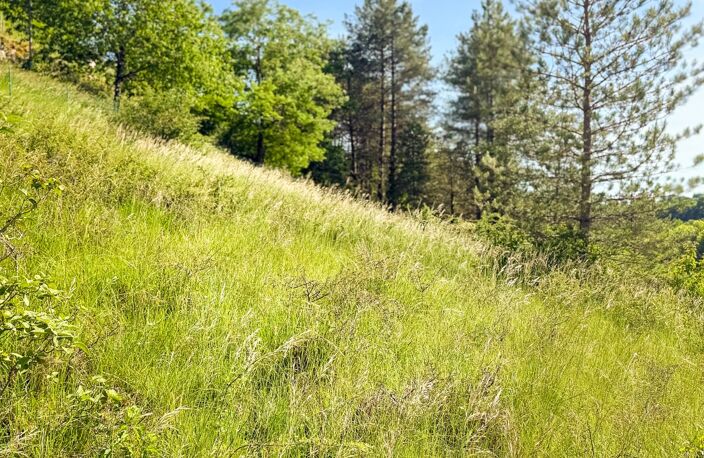 Vente Terrain à bâtir 698 m&sup2; — photo 3
