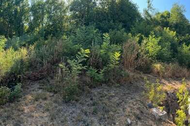 Terrain  49000 €
