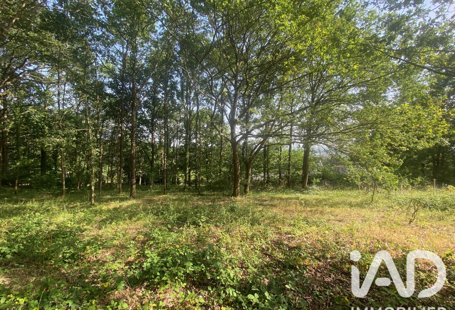 Vente Terrain à bâtir 1 800 m&sup2; — photo 1