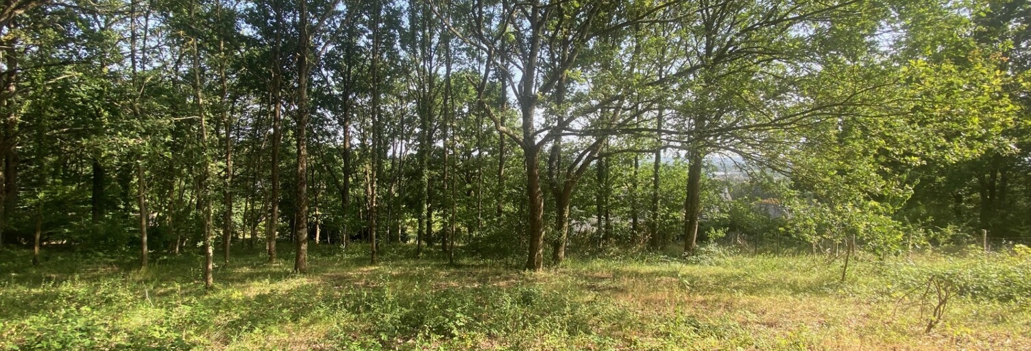 Terrain  1800 m² à vendre à La Flèche (72200)