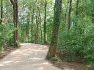 Vente Terrain à bâtir 1 800 m&sup2; — photo 2