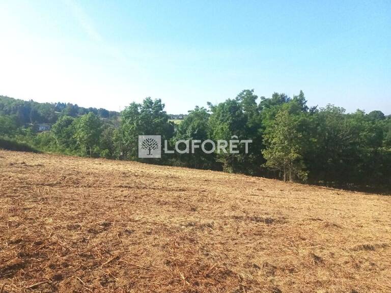 Terrain Salt En Donzy 3970 m2 — photo 1