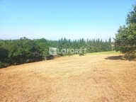 Terrain Salt En Donzy 3970 m2 — photo 3