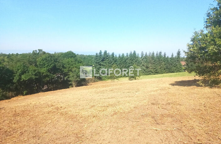 Terrain Salt En Donzy 3970 m2 — photo 3