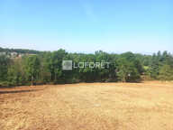 Terrain Salt En Donzy 3970 m2 — photo 4