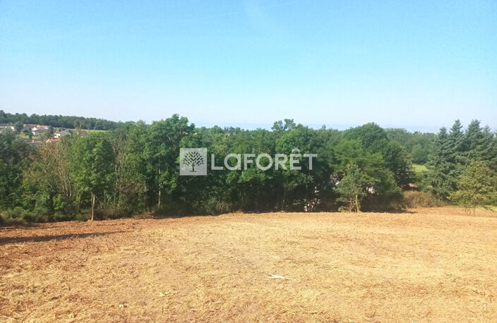 Terrain Salt En Donzy 3970 m2 — photo 4