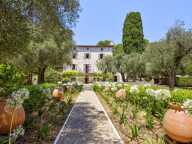 Authentique bastide provençale -Roquefort-les-Pins — photo 3
