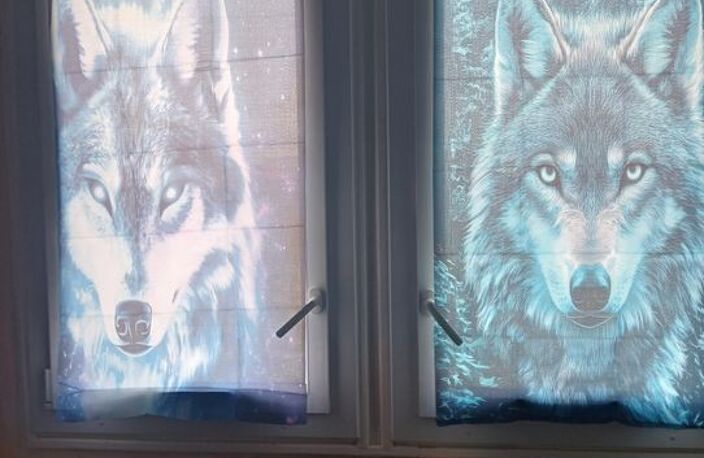 Chambre de 12m2 à louer sur Romans-sur-Isère — photo 2