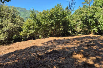 Terrain  89000 €