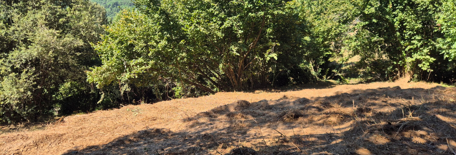 Terrain  9403 m² à vendre à Le Collet-de-Dèze (48160)
