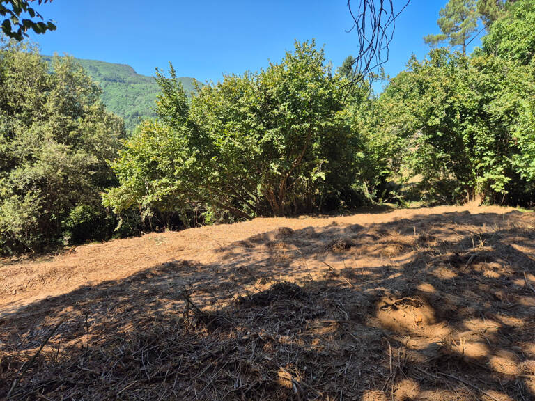 Terrain à bâtir pour deux maisons  LE COLLET DE DEZE (48) — photo 1