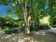 Maison de campagne dans parc arboré 3000 m². Moissieu sur Dolon 38270 — photo 4