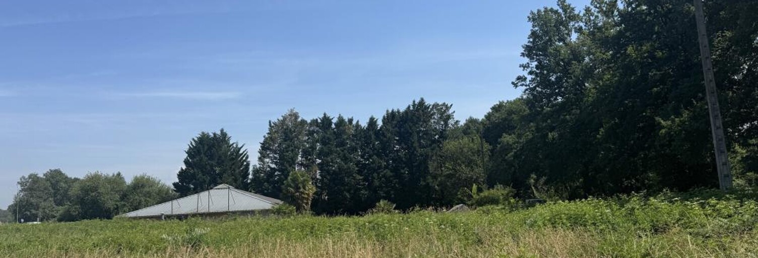 Commerce  3839 m² à vendre à Pau (64000)