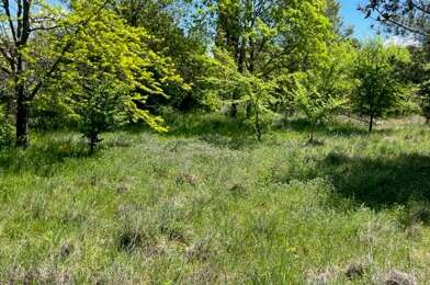 Terrain  170000 €