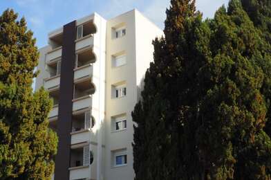 Appartement 3 pièces 629 €