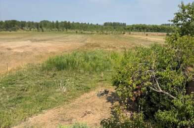 Terrain  51000 €