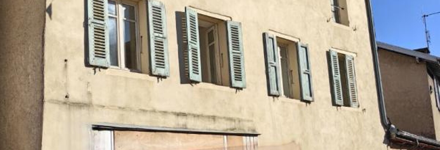 Maison 10 Pièces 250 m² à vendre à Roybon (38940)