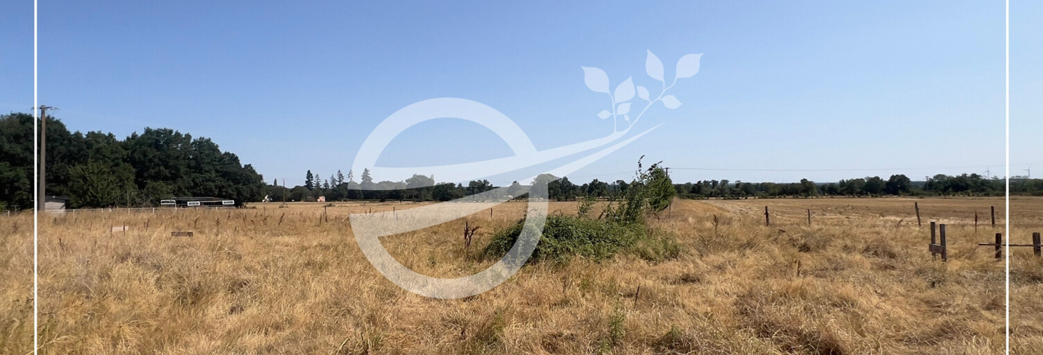 Terrain  3666 m² à vendre à Lusanger (44590)