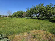 Maison de campagne habitable immédiatement avec ses combles — photo 2