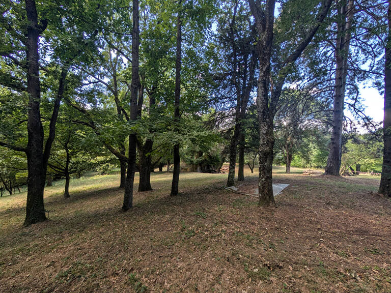 Terrain - Vienne  -16000 m2 — photo 1
