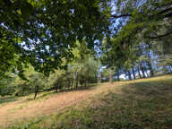 Terrain - Vienne  -16000 m2 — photo 2