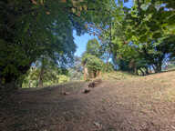 Terrain - Vienne  -16000 m2 — photo 3
