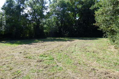 Terrain  49000 €