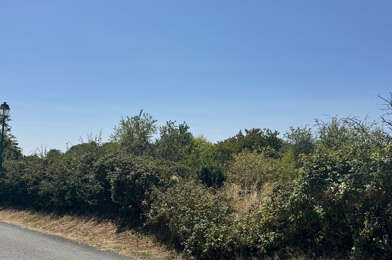 Terrain  49500 €