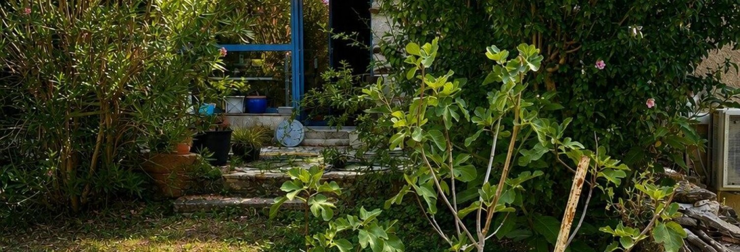 Photo N° 2