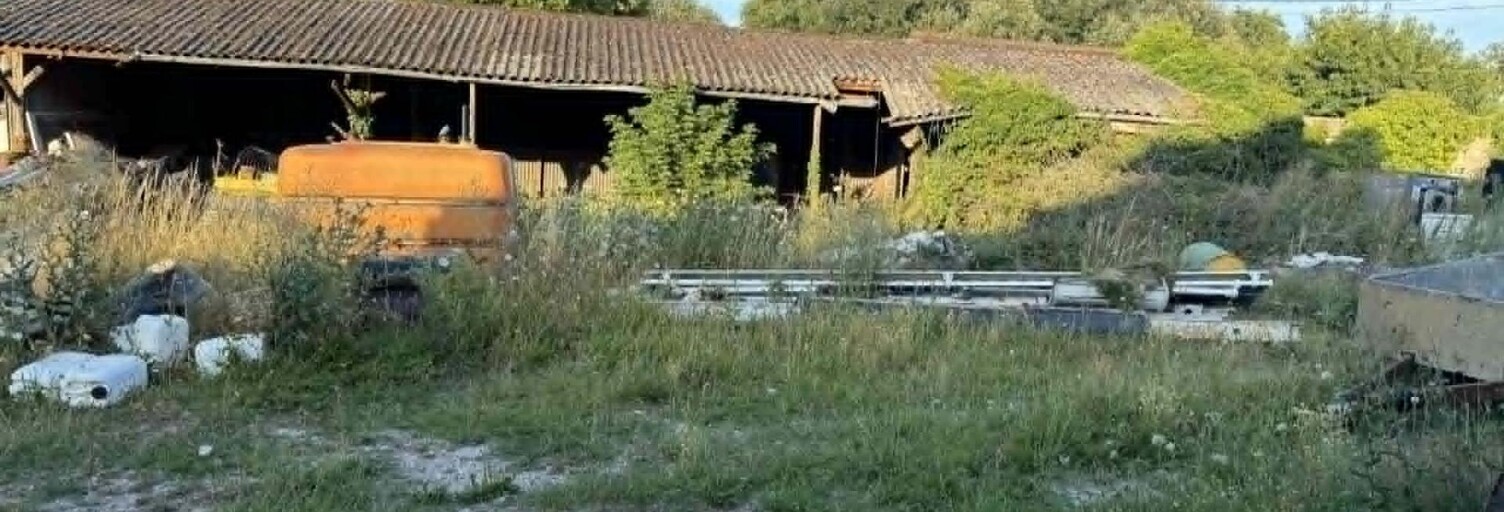 Photo N° 2