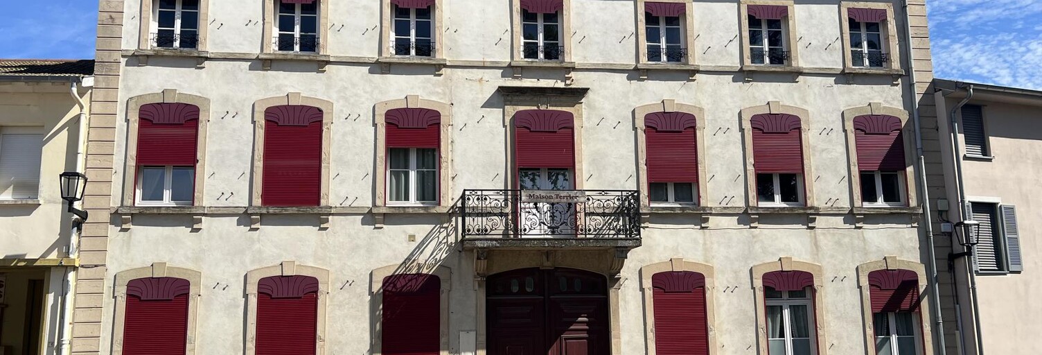 Maison 22 Pièces 414 m² à vendre à Tramayes (71520)